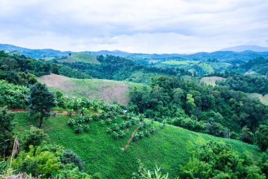 Tayland 'ın Phayao eyaletindeki dağ manzarası.