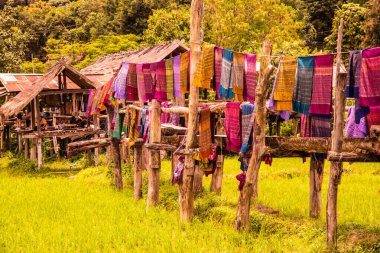 Tayland 'ın Pua bölgesinde küçük köprüsü olan pirinç tarlası..