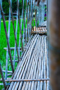 Tayland 'ın Pua bölgesinde pirinç tarlası olan küçük bir köprü..