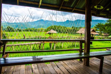 Tayland 'da pirinç tarlası olan küçük bir köprü..
