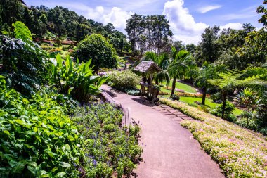 Chiang Rai bölgesindeki Mae Fah Luang Bahçesi, Tayland.