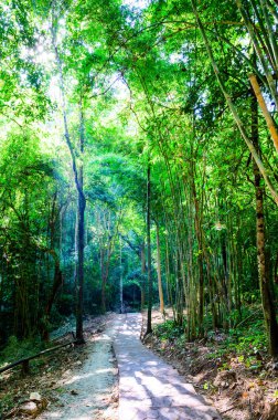 Lampang 'ın Tham Phatai Milli Parkı manzarası.