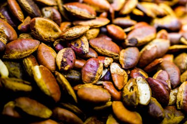 Havlayan geyik mangosu veya yabani badem. Bu tür tahıl, Taylandlıların yemeyi sevdiği bir bitki ve yemektir..