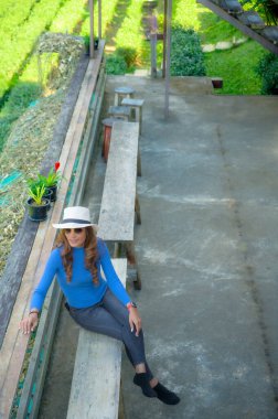 Asyalı bir kadın turist, Tayland 'ın Chiang Mai bölgesindeki bir çay tarlasında, ahşap bir bankta dinleniyor..