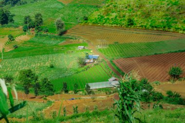 Tayland 'ın Chiang Mai eyaletindeki tarım dağlarının güzel doğal manzarası..