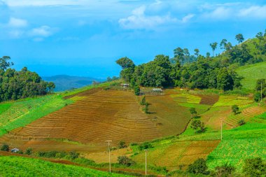 Tayland 'ın Chiang Mai eyaletindeki tarım dağlarının güzel doğal manzarası..