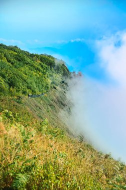 Natural scenery of mountain ranges with mist covered in winter at Kiew Mae Pan Nature Trail, Chiang Mai Province, Thailand clipart