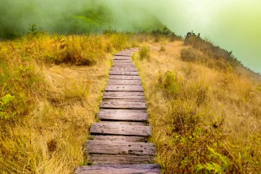 Mountain walkway covered by sea of mist at Kew Mae Pan Nature Trail within Doi Inthanon National Park, Chiang Mai Province. clipart