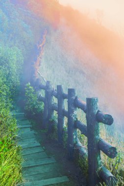 Mountain walkway covered by sea of mist at Kew Mae Pan Nature Trail within Doi Inthanon National Park, Chiang Mai Province. clipart