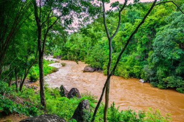 Tayland 'ın Chiang Mai Eyaleti' ndeki Op Luang Ulusal Parkı 'nda yağmur mevsiminde dalgalı çamurlu suyun aktığı doğal nehir manzarası..