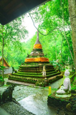 Tayland 'ın Chiang Mai eyaletinin Wat Pha Lat' ında yağmur mevsiminde yosun kaplı antik pagoda..