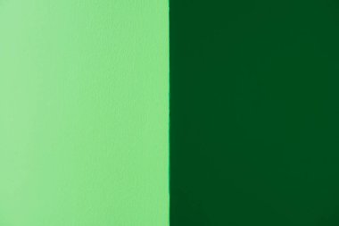 Yeşil arasındaki fark. Açık yeşil ve koyu yeşil. 2 tonlu yeşil duvarlar.