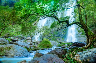 Kamphaeng Phet ilindeki Khlong Lan Milli Parkı, Tayland. Khlong Lan Milli Parkı manzarası.