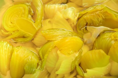 Taylandlı insanların birçok yemeği pişirmek için kullandıkları bir malzemedir. Ekşi lahana turşusu, bu vejetaryen yemeği lahanadan yapılır..