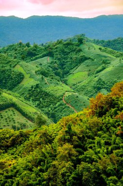 Beautiful mountain views of Nan Province. Complex mountain views of northern Thailand. View of high mountains and forest in the rainy season. clipart