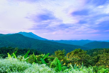 Tayland 'ın Phayao eyaletinin güzel dağ manzarası. Kwan Phayao Viewpoint 'teki karmaşık dağ manzarası. Kuzey Tayland 'daki ormanların ve sıradağların güzel doğal manzarası.