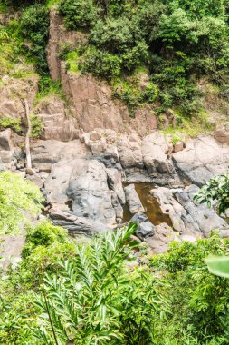 Landscape of khaoyai national park, Thailand. clipart