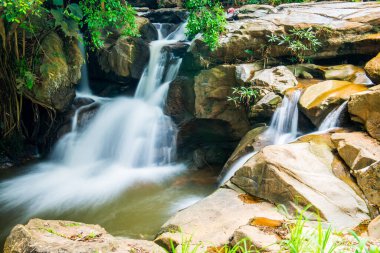 Thai Ormanı, Tayland 'da Su Akıntısı.