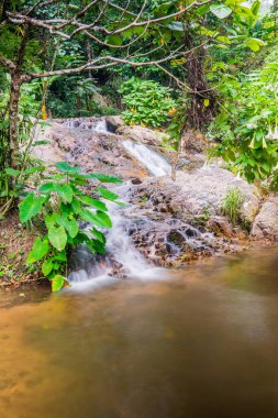 Mae Kampong Şelalesinde Su Akıntısı, Tayland.