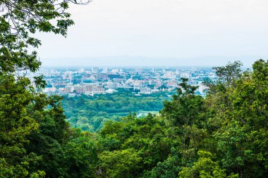 Ağaç önplanlı Chiangmai şehri manzarası, Tayland.