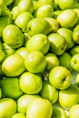 Taze maymun elması, Tayland