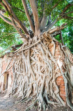 Kratai Tapınak, Tayland antik Tay kilisede seslendirdi.
