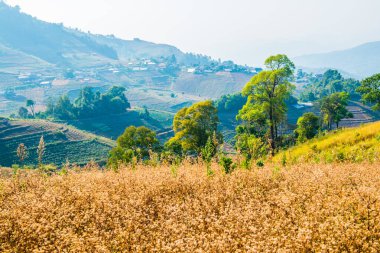 Tayland dağ manzarası, Tayland