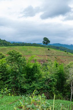 Chiang Mai, Tayland 'da Mae Chaem bölgesinin dağ manzaralı tarım alanı.