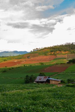 Chiang Mai, Tayland 'da Mae Chaem bölgesinin dağ manzaralı tarım alanı.