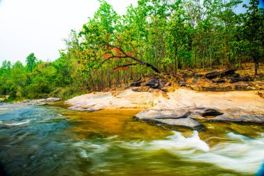 Doi Inthanon Ulusal Parkı, Tayland 'da küçük su damlaları