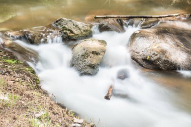Thai Ormanı, Tayland 'da Su Akıntısı.