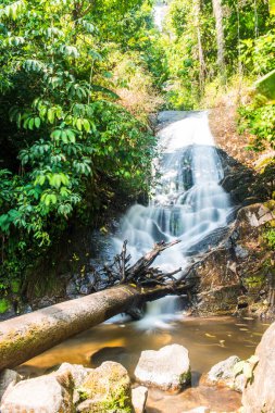 Siribhum Şelalesi, Tayland, Chiang Mai vilayetinde.