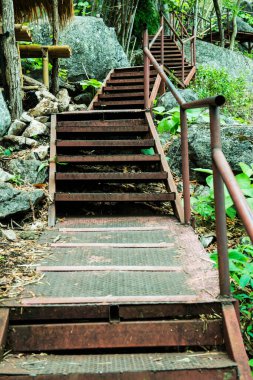 Ormanda çelik merdivenler, Tayland.