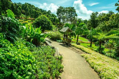 Chiang Rai bölgesindeki Mae Fah Luang Bahçesi, Tayland.