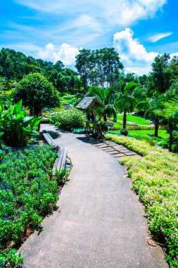 Chiang Rai bölgesindeki Mae Fah Luang Bahçesi, Tayland.