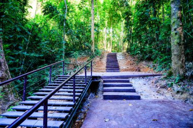 Lampang 'ın Tham Phatai Milli Parkı manzarası.