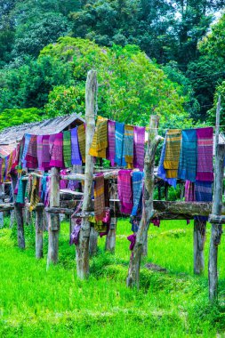Tayland 'ın Pua bölgesinde küçük köprüsü olan pirinç tarlası..