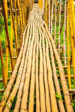 Tayland 'da pirinç tarlası olan küçük bir köprü..