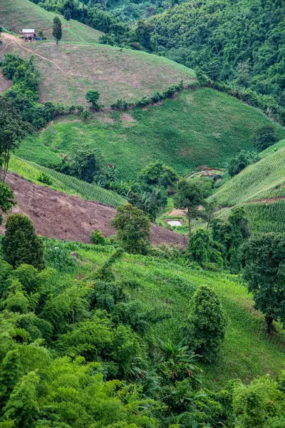 Tayland 'ın Phayao eyaletindeki dağ manzarası.