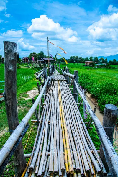 Tayland 'da pirinç tarlası olan küçük bir köprü..