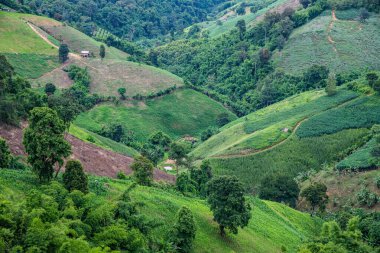 Tayland 'ın Phayao eyaletindeki dağ manzarası.