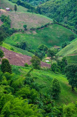 Tayland 'ın Nan eyaletinin dağ manzarası.