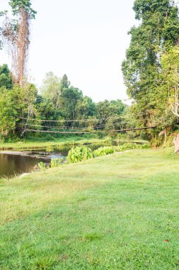 halat köprü Milli Park, Tayland