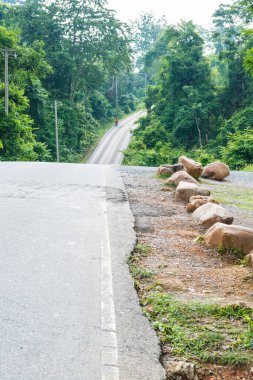 yol Milli Park, Tayland