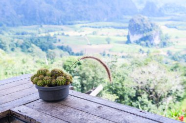 Phayao eyaletinin Phu Langka perspektifinde dağ manzaralı çömlek kaktüsleri.