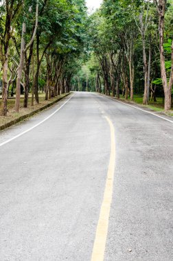 Kamu parkında yol, Tayland.