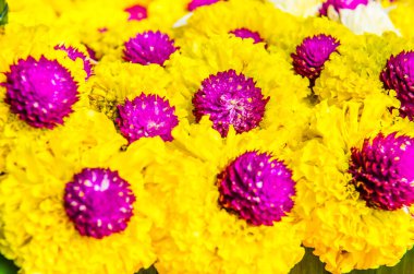 Thhailand 'da çiçekten yapılan doğal arka plan.