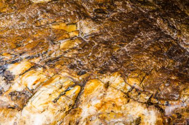 Kahverengi kayanın arka planı, Tayland