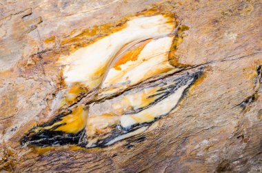 Kahverengi kayanın arka planı, Tayland