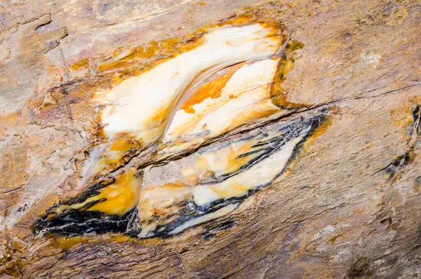 Kahverengi kayanın arka planı, Tayland